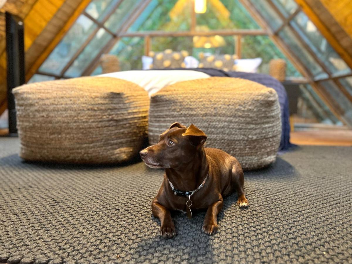 Bubblesky Glamping Guatape Ξενοδοχείο Εξωτερικό φωτογραφία